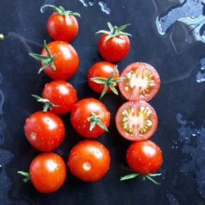 Cherrytomaten - Samen