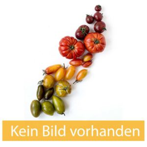 Chili - Samen (ausverkauft)