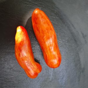 Flaschen-/ Eiertomaten – Samen