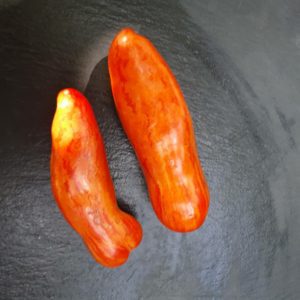 Flaschen-/ Eiertomaten – Samen