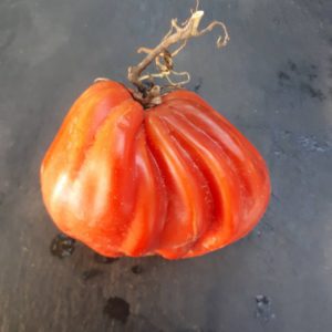 Fleischtomaten - Samen